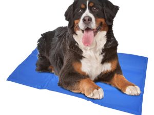 Tapis rafraîchissant chien