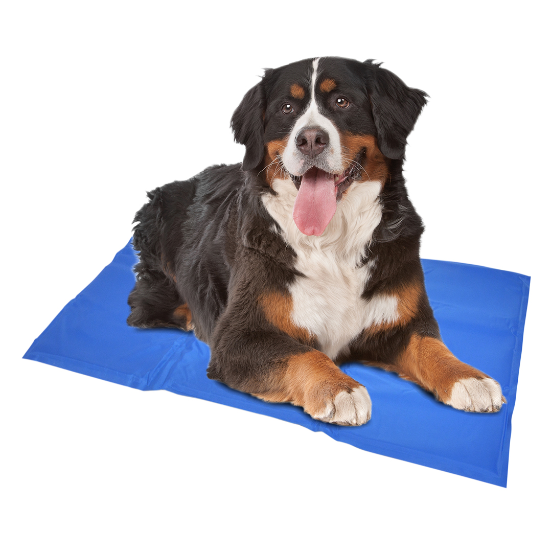Tapis rafraîchissant chien