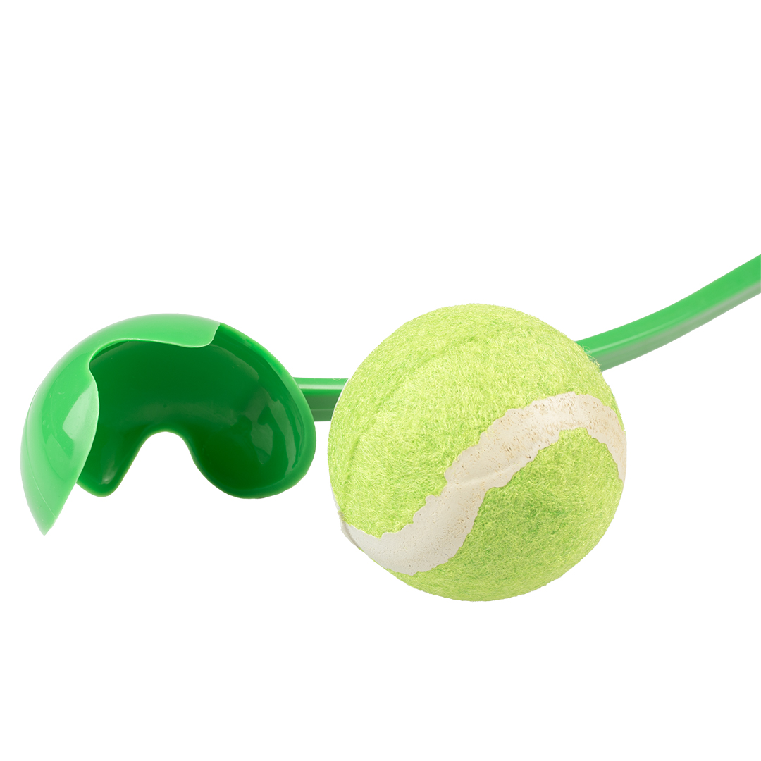 Lanceur de balle – Image 2