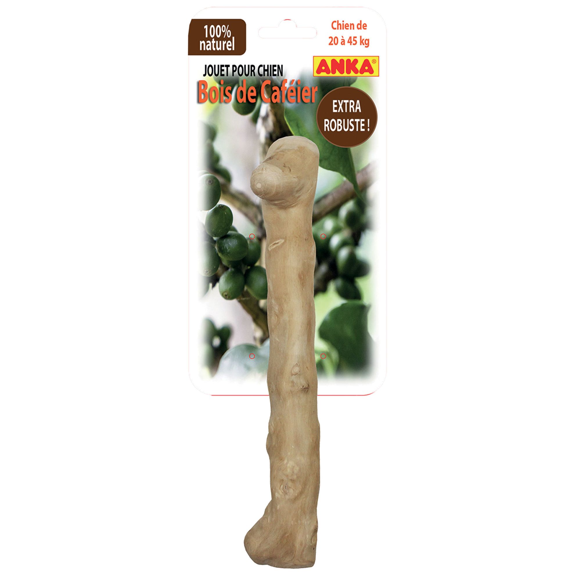 Bois de caféier de 15 à 40 cm – Image 3