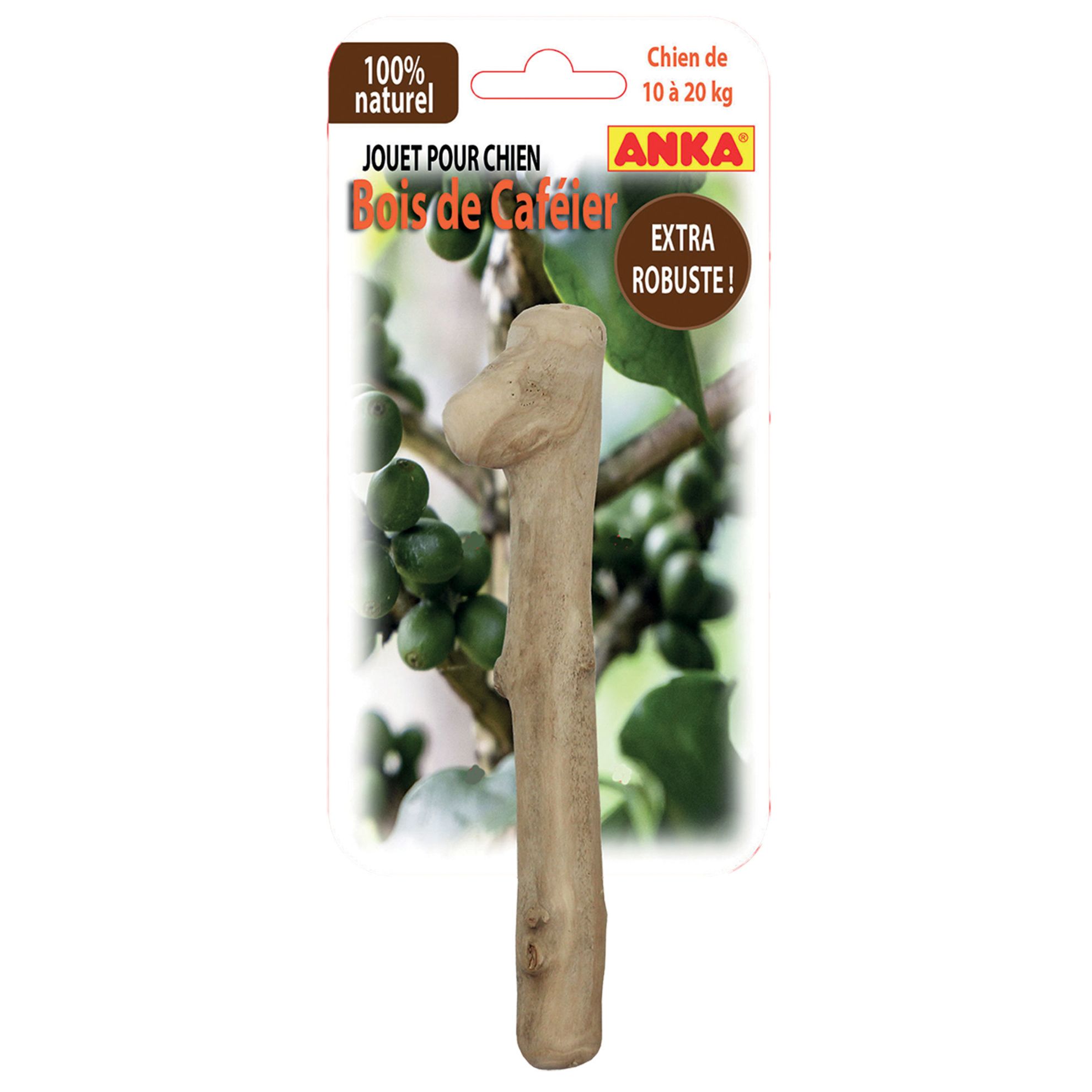 Bois de caféier de 15 à 40 cm – Image 2