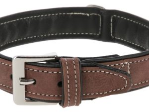 Collier chien California marron