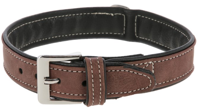 Collier chien California marron