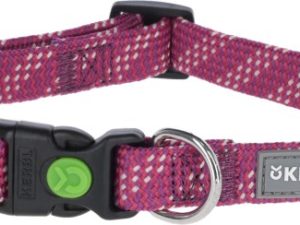 Collier chien Colorado fuchsia