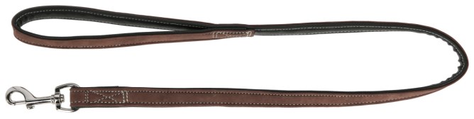 Laisse chien California marron