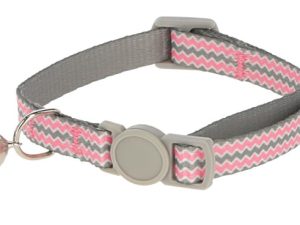 collier pour chat curly
