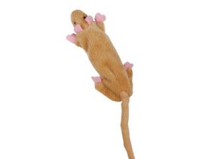 jouet avec herbe à chat